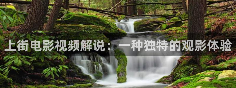 西瓜影院bd：上街电影视频解说：一种独特的观影体验