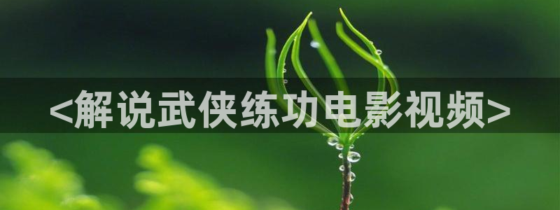 西瓜影片：<解说武侠练功电影视频>